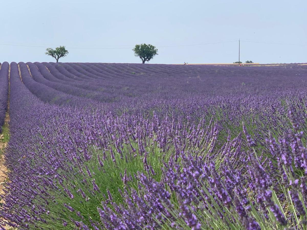 Studios Nuitee En Provence Aix-en-Provence Zewnętrze zdjęcie